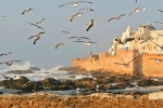 morocco-essaouira-mhi97eu6i7