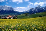 france5