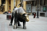 bull