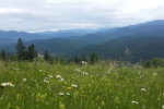 20150618_142921